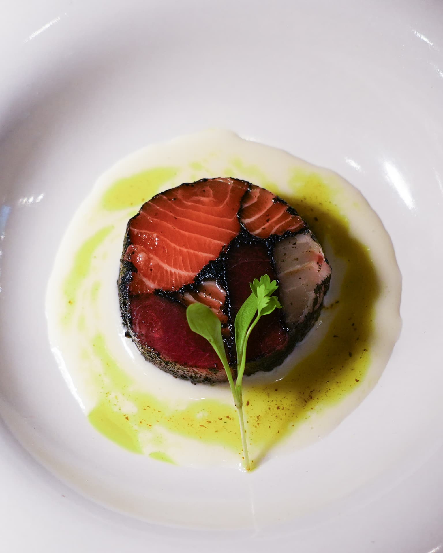 Chilled composed dish of cured fish in a pool of broth and herb oil