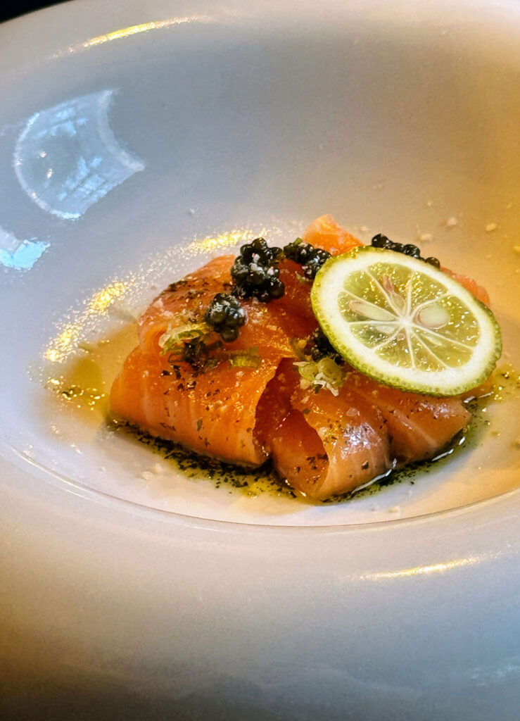 Salmon